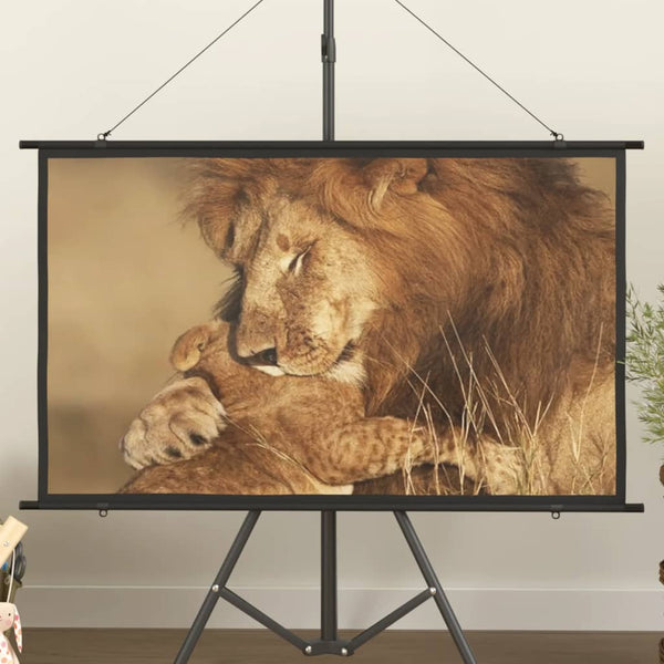 Beamer Leinwand 50 Zoll 16:9
