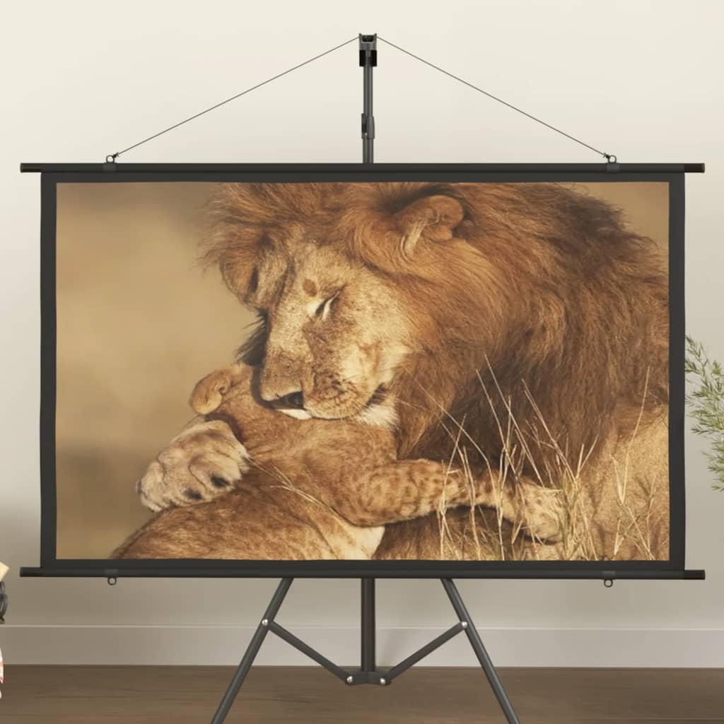 Beamer Leinwand 60 Zoll 16:9