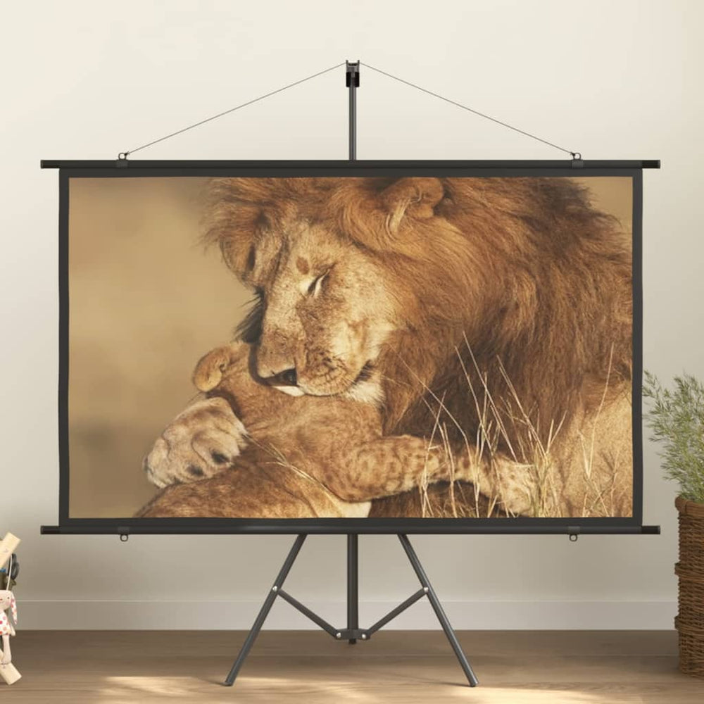 72 Zoll Beamer Leinwand 16:9