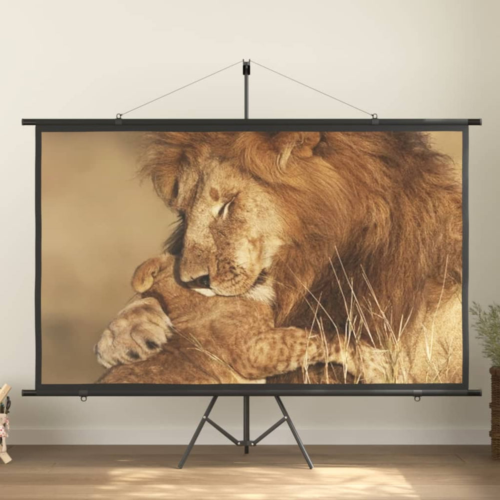 Beamer Leinwand 100 Zoll 16:9