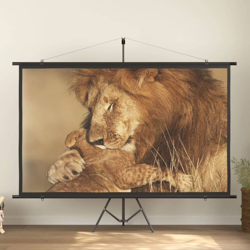 Beamer Leinwand 108 Zoll 16:9
