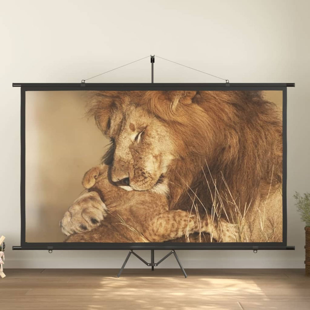 Beamer Leinwand 120 Zoll 16:9