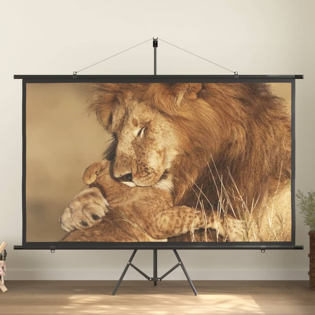 Beamer Leinwand mit Stativ 100 Zoll