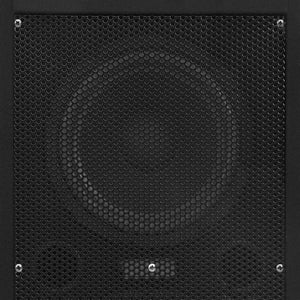Passive HiFi Bühnenlautsprecher 1000W (2 Stk.)