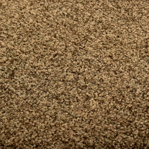 vidaXL Paillasson lavable marron 120x180 cm