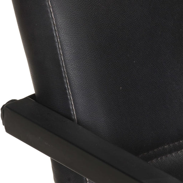 Freischwinger 2er Set Schwarz Echtleder