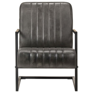 Freischwinger Sessel Grau Echtleder
