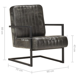 Freischwinger Sessel Grau Echtleder