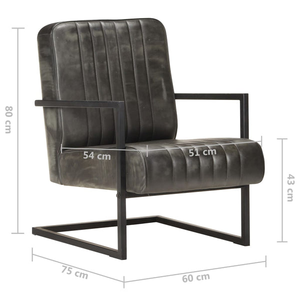 Freischwinger Sessel Grau Echtleder