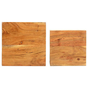 vidaXL Supports de plantes 2 pcs Bois d'acacia massif