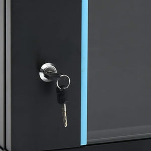 vidaXL Armoire réseau murale 12U 19" IP20 600x600x640 mm