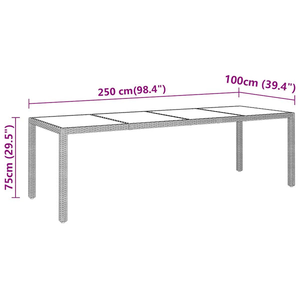 Gartentisch 250x100x75 cm Hartglas und Poly Rattan Schwarz