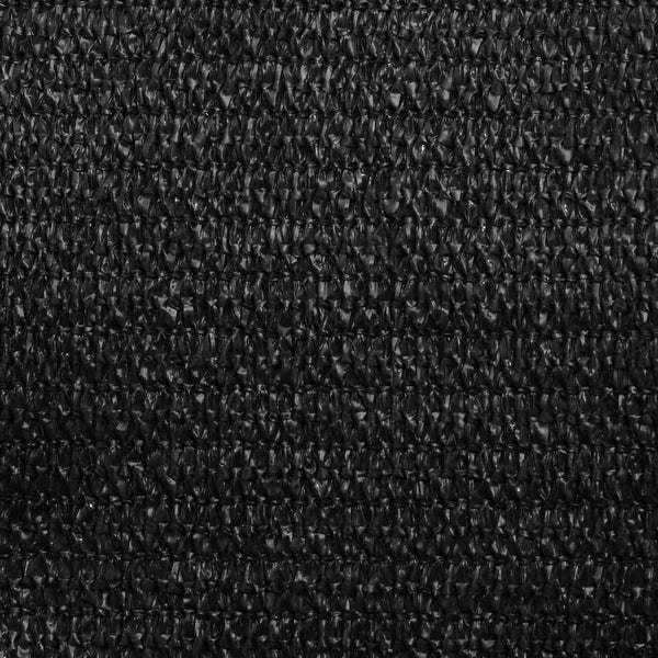 vidaXL Voile d'ombrage 160 g/m² Noir 3x6 m HDPE