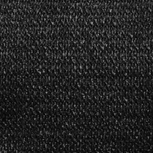 Sonnensegel 160 g/m² Schwarz 4x5x5 m HDPE