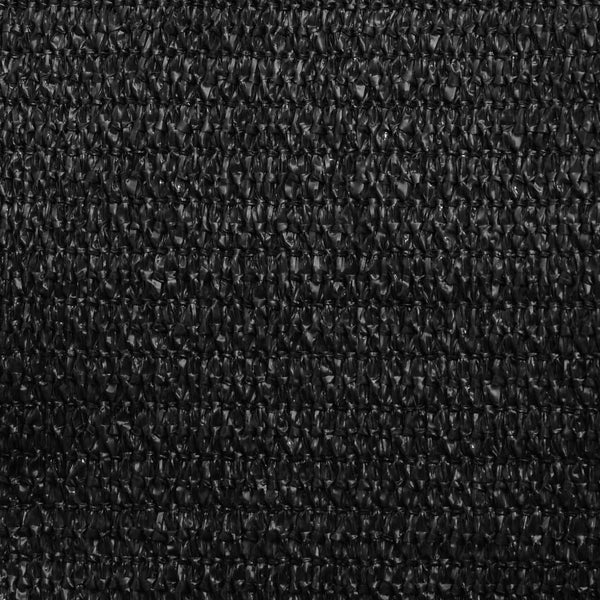 Sonnensegel 160 g/m² Schwarz 5x5x5 m HDPE