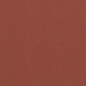 vidaXL Brise-vue de balcon rouge terre cuite 120x300 cm tissu Oxford