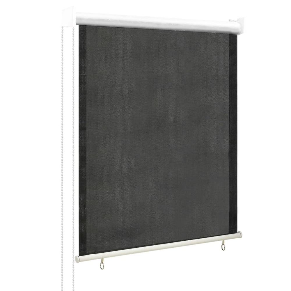Außenrollo 60x140 cm Anthrazit