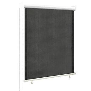 Außenrollo 60x140 cm Anthrazit