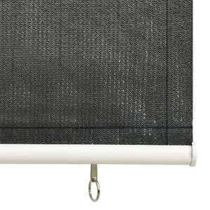 Außenrollo 60x140 cm Anthrazit
