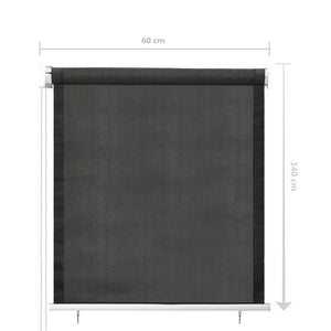 Außenrollo 60x140 cm Anthrazit