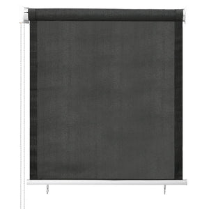 Außenrollo 80x140 cm Anthrazit