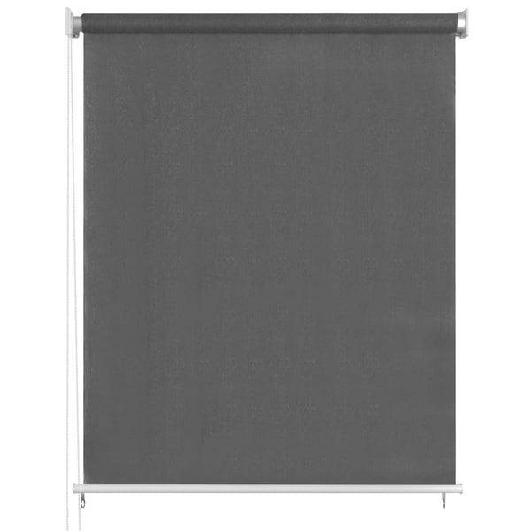 vidaXL Store d'extérieur 60x230 cm Anthracite