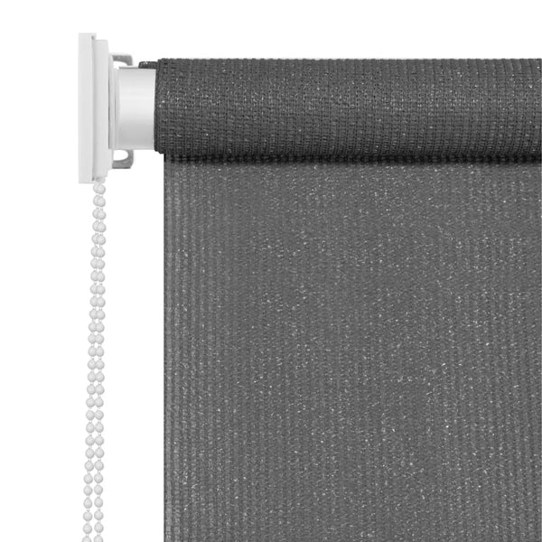 vidaXL Store d'extérieur 60x230 cm Anthracite