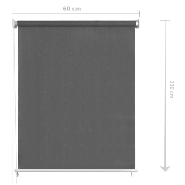 vidaXL Store d'extérieur 60x230 cm Anthracite