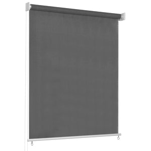 Store banne extérieur vidaXL 80x230 cm anthracite