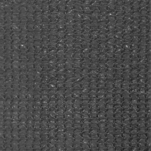 Store banne extérieur vidaXL 80x230 cm anthracite