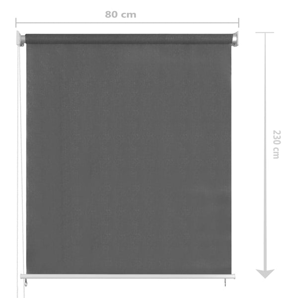 Store banne extérieur vidaXL 80x230 cm anthracite