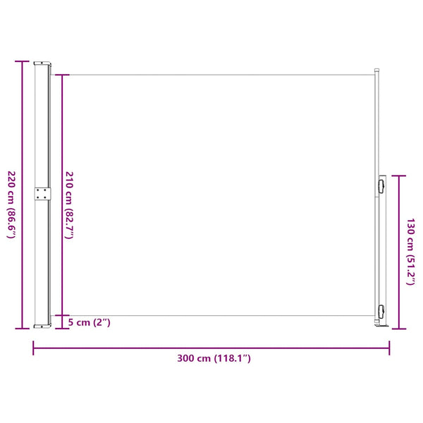 Seitenmarkise Ausziehbar 220x300 cm Grau