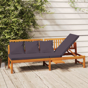 vidaXL Lit de repos avec coussins gris 200x60x75 cm Bois d'acacia massif