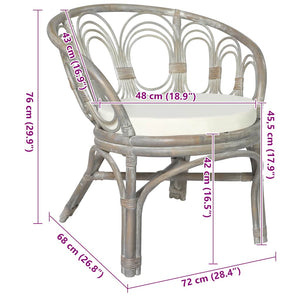 Esszimmerstuhl Grau Natur Rattan mit Kissen