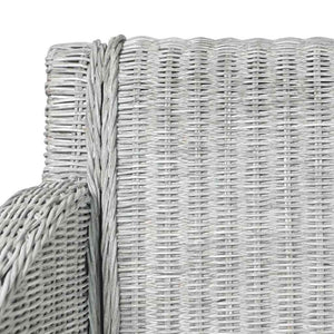 vidaXL Chaises de salle à manger avec coussins 2 pcs Gris rotin naturel