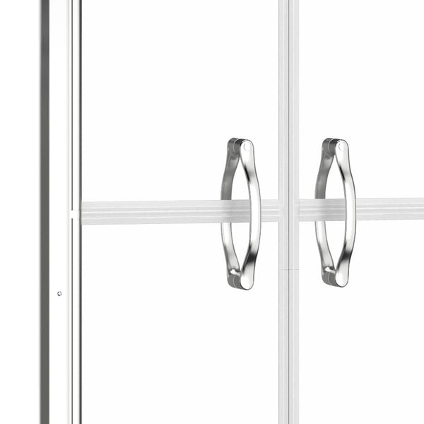 Duschtür Transparent ESG 76x190 cm