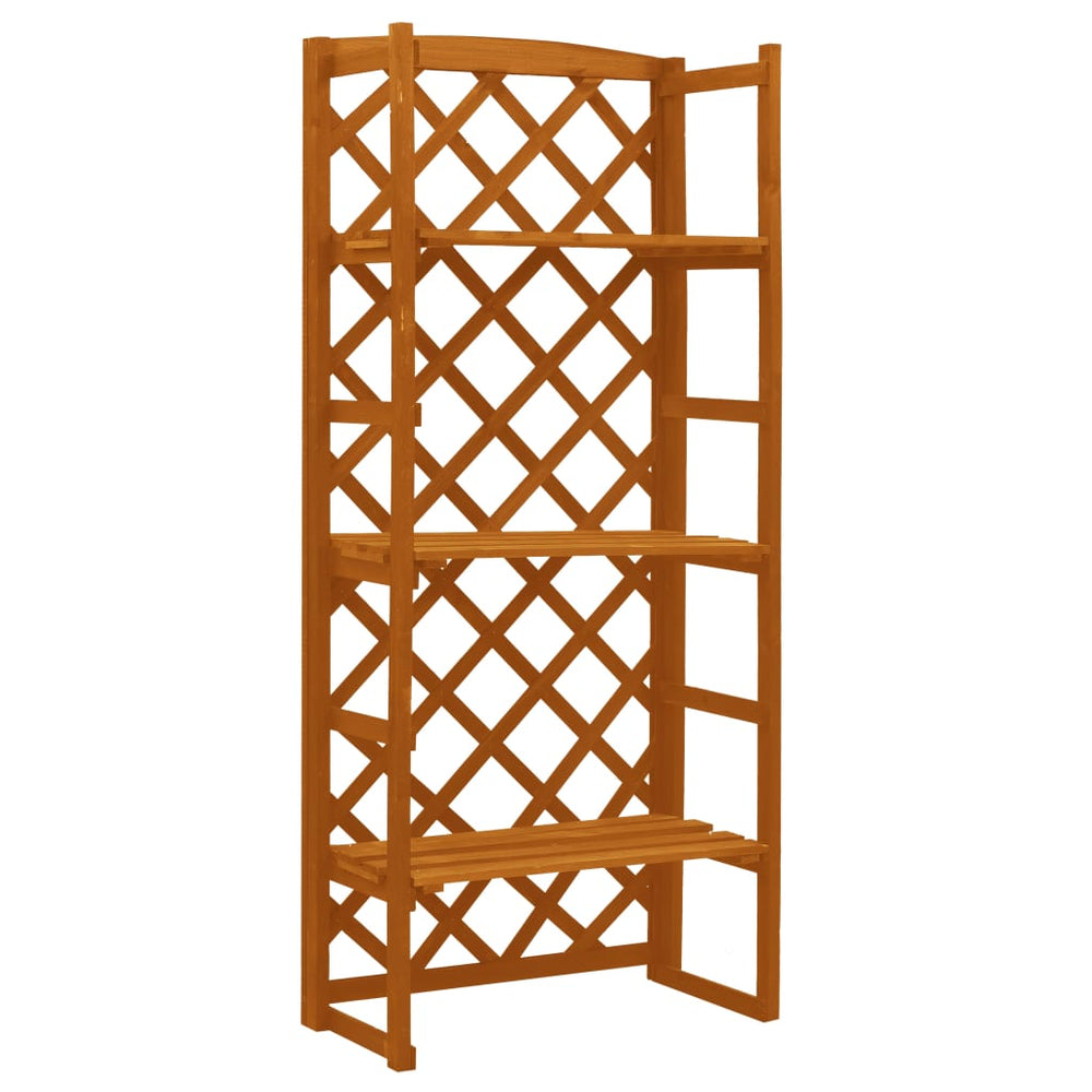 Regal-Rankgitter Orange 60x30x140 cm Massivholz Tanne
