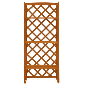 Regal-Rankgitter Orange 60x30x140 cm Massivholz Tanne