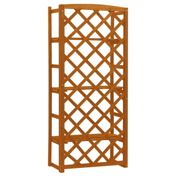 Regal-Rankgitter Orange 60x30x140 cm Massivholz Tanne