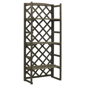 Regal-Rankgitter Grau 60x30x140 cm Massivholz Tanne