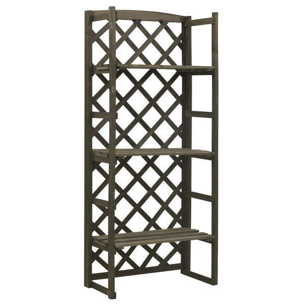 Regal-Rankgitter Grau 60x30x140 cm Massivholz Tanne