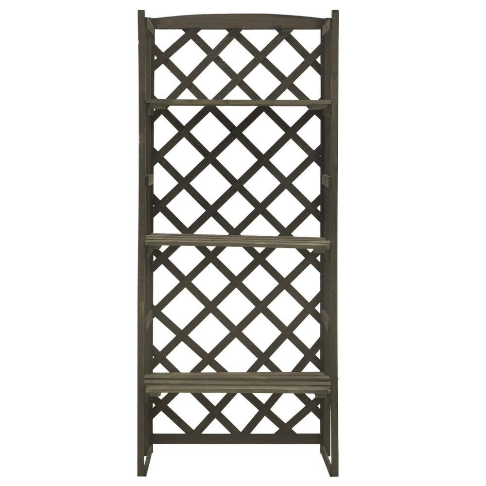 Regal-Rankgitter Grau 60x30x140 cm Massivholz Tanne
