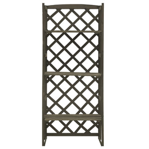 Regal-Rankgitter Grau 60x30x140 cm Massivholz Tanne