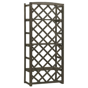 Regal-Rankgitter Grau 60x30x140 cm Massivholz Tanne