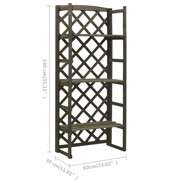 Regal-Rankgitter Grau 60x30x140 cm Massivholz Tanne