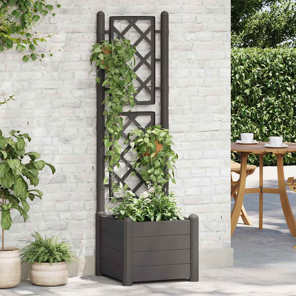 vidaXL Planter with Trellis 43x43x142 cm PP Anthracite