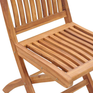 9-tlg. Garten-Essgruppe Massivholz Teak