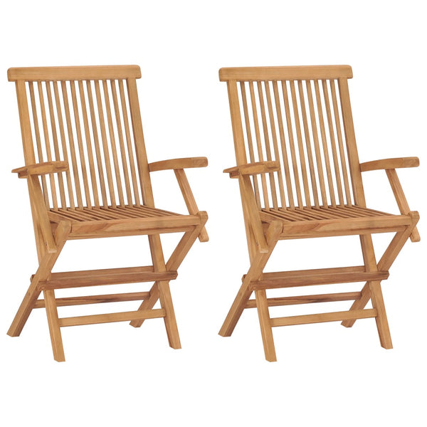 Gartenstühle mit Blauen Kissen 2 Stk. Massivholz Teak