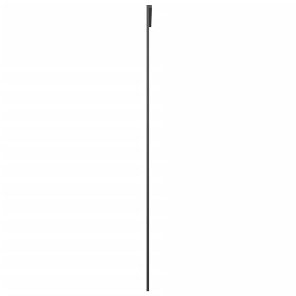Schiebetür Aluminium und ESG Glas 76x205 cm Schwarz