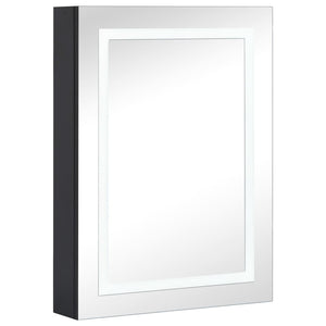 vidaXL Armoire de toilette LED 50x13x70 cm